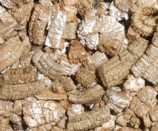 Exfoliated Vermiculite